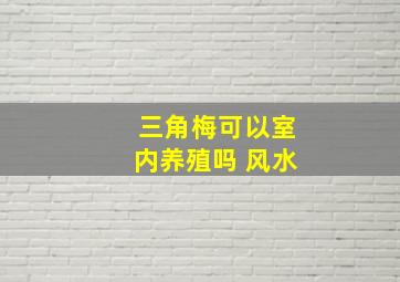 三角梅可以室内养殖吗 风水